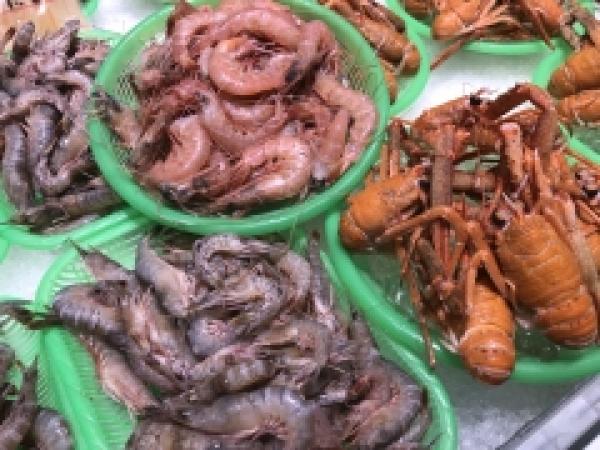 【海老3兄弟!?のご紹介】