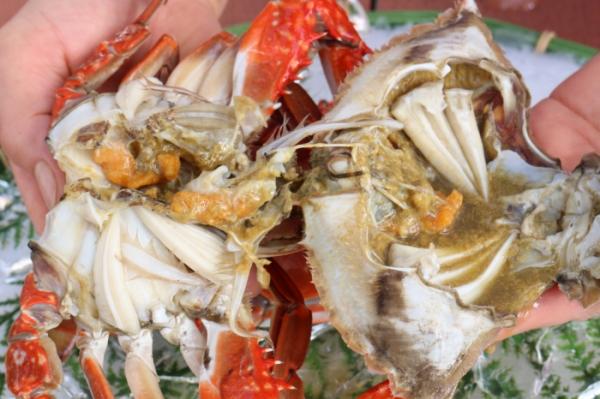 夏が旬の””渡り蟹””お値打ちです!