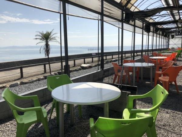 夏だ!海だ!浜焼きBBQだ!