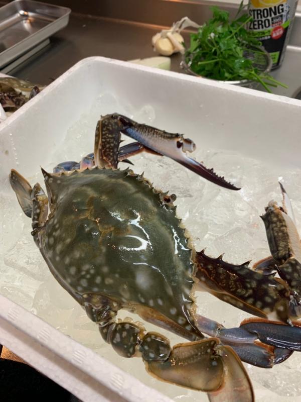 南知多産 渡り蟹が大漁でお値打ち! パスタに挑戦!