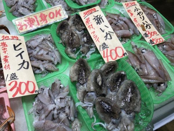 秋の知らせは小さなイカ。