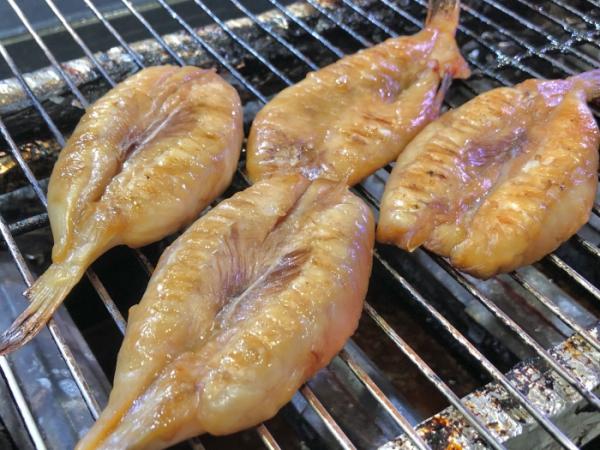 メーテレ アップで紹介されました! 【天然とら河豚】【天然彼岸ふぐ】