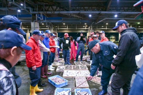 秋が旬の【鰆】さわら、刺身で食べたことありますか?