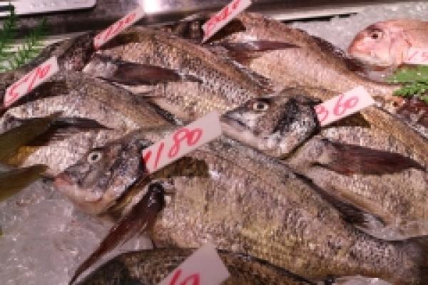 寒魚とは??寒いから旨い、冬の鮮魚たちパートⅡ