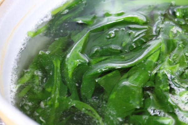 東海テレビ スイッチで紹介されました! 魚太郎鮮魚市場&浜焼きBBQ