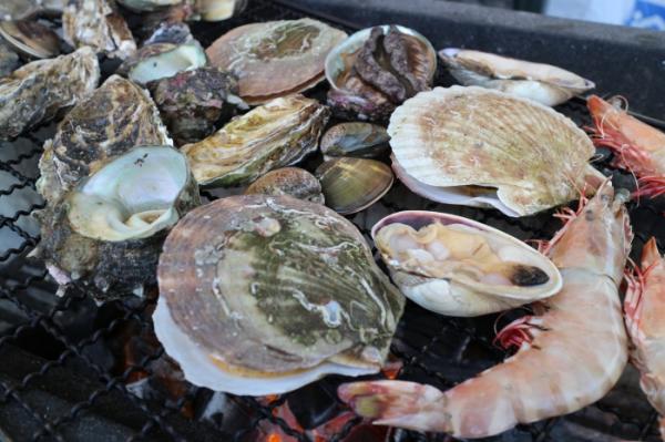 メ~テレ ハピキャンで紹介されました! 魚太郎鮮魚市場に旬の芸人さんが!