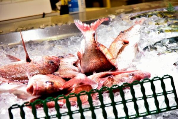 桜が咲くころ、ピンク色に染まる、旬の桜鯛