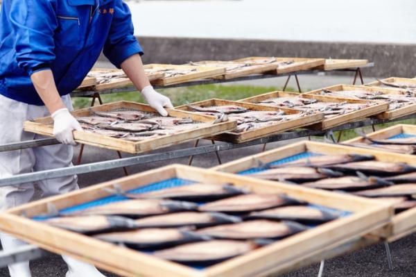 やっぱり魚太郎といえば、とろさば干物! 花咲かタイムズで紹介されました!