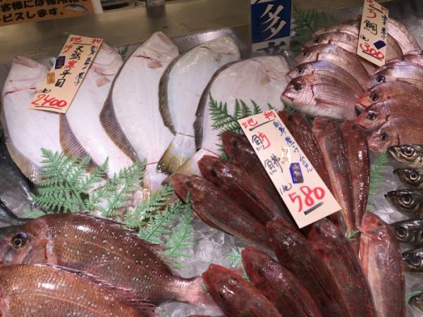 キモかわ?ブサかわ?【ミドリフサアンコウ】と紹介する鮮魚その②