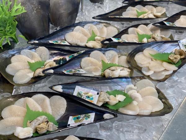 大きな貝柱、南知多産【平貝】