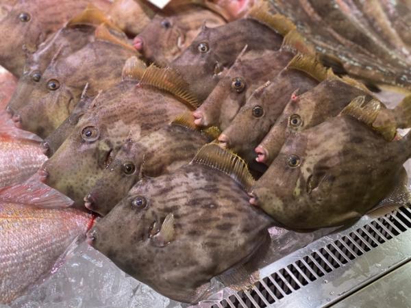 蒸し料理の日。今が旬のカワハギでチャレンジ!