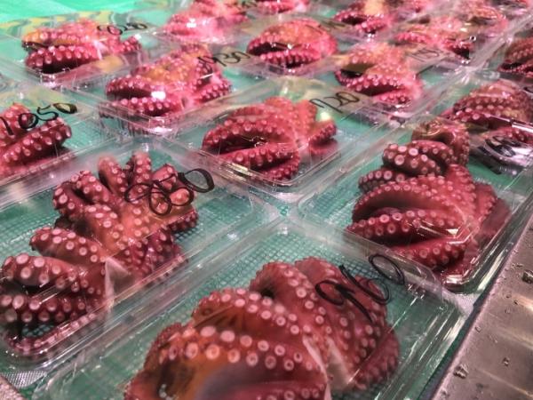 夏は魚貝の旬がいっぱい! たこ漁の最盛期!