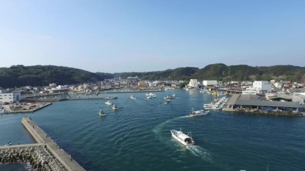 そろそろしらすの漁が終わります。