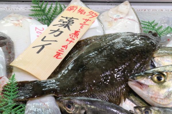 太陽が一番長く出ている日【夏至】は【父の日】