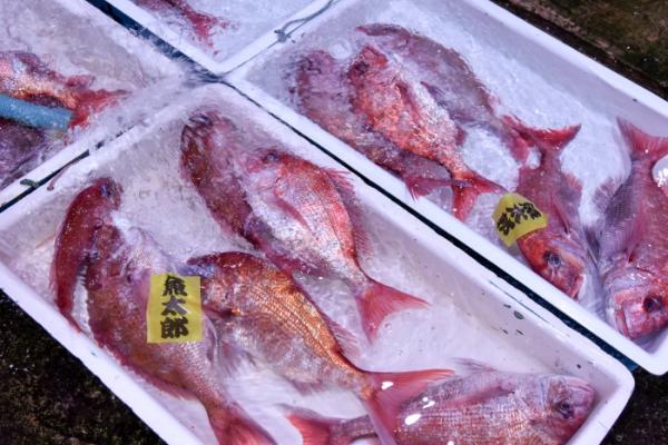 太陽が一番長く出ている日【夏至】は【父の日】