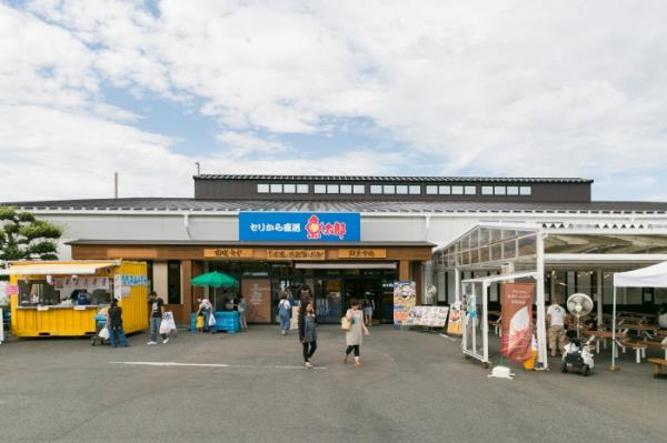 7/1 【半夏生】はたこを食べる日