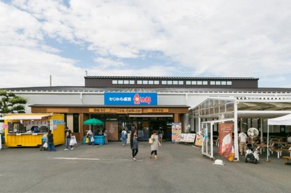 七夕の定番になりました!海鮮ちらし