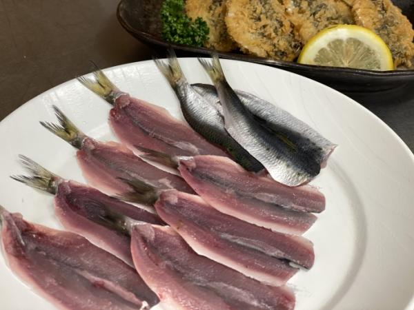 南知多の夏は、イワシがないと始まらない!