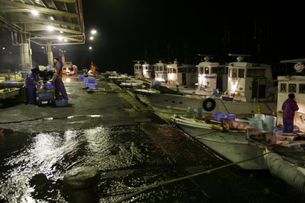 南知多の人気者【シャコ】 今では希少な地元の味。