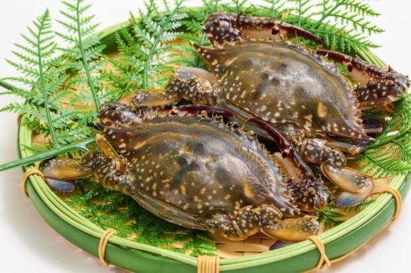 漁師のごった煮 元漁師の店長おすすめ!