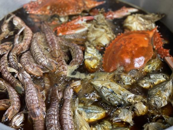 漁師のごった煮 元漁師の店長おすすめ!