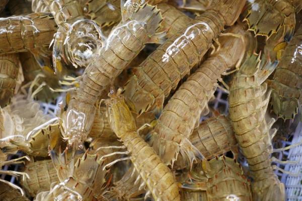 漁師のごった煮 元漁師の店長おすすめ!