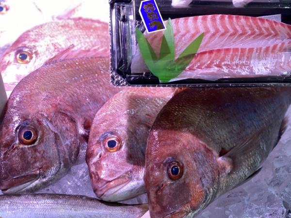 もうすぐ敬老の日。新鮮魚介類を送ろう!