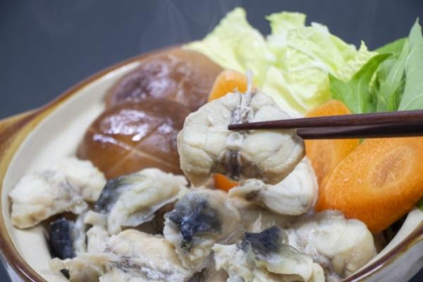 フグ漁解禁! 南知多産天然とらふぐ