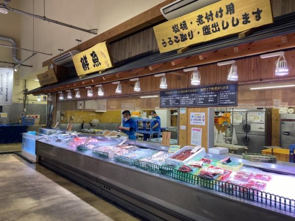 フグ漁解禁! 南知多産天然とらふぐ