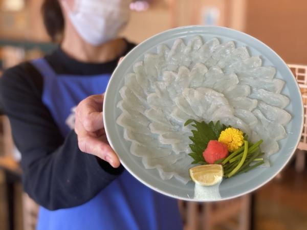 今!南知多で豊漁です!天然彼岸河豚が安くて旨い!