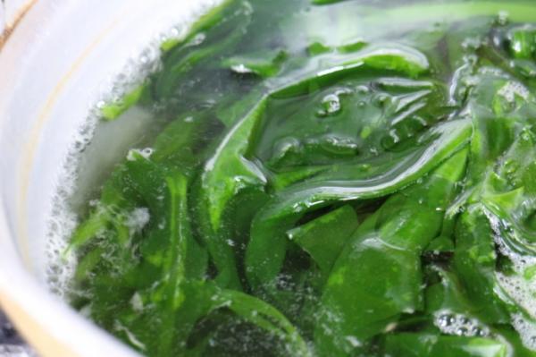 海藻の旬は冬! 【生】が手に入るのは今だけ!