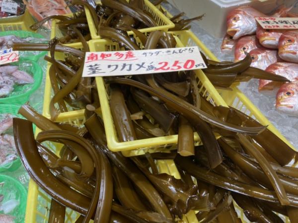 海藻の旬は冬! 【生】が手に入るのは今だけ!