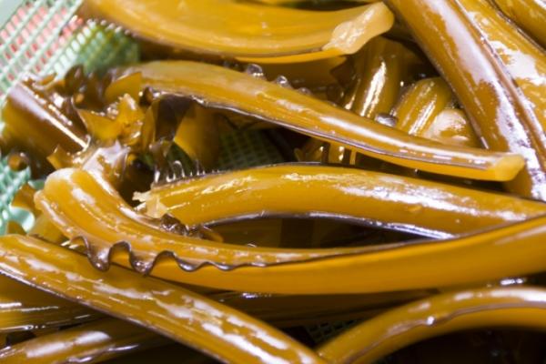 旬の海藻 生で食べれるのはあっという間に終わっちゃう~