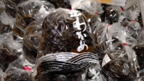 旬の海藻 生で食べれるのはあっという間に終わっちゃう~