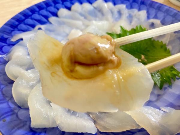 久しぶりの水揚げ、癒し系【ウマズラハギ】
