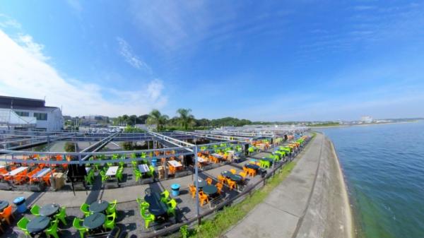 久しぶりの水揚げ、癒し系【ウマズラハギ】