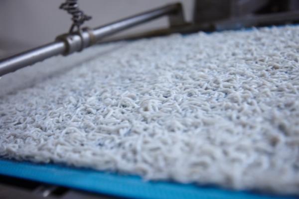 南知多は全国有数の名産地! 春のしらす漁始まってます