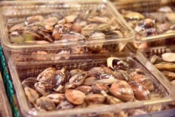 雨のゴールデンウィーク