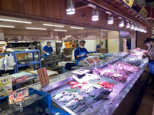 おとぼけフェイス。南知多産ウチワハギ