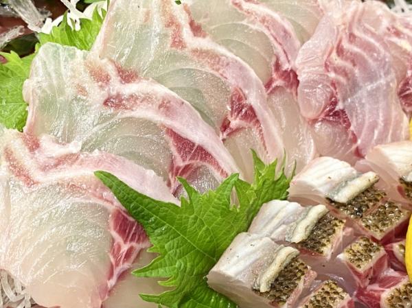 俺たち魚屋の大好物!この季節が待ち遠しい!梅雨イサキ