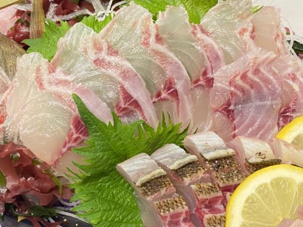 俺たち魚屋の大好物!この季節が待ち遠しい!梅雨イサキ