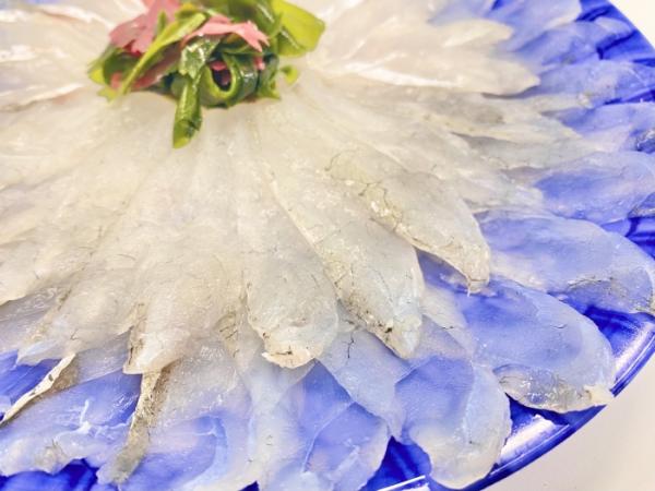 夏が旬の高級魚『真コチ』がお値打ち!