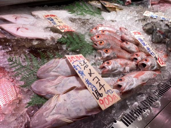 夏が旬の高級魚『真コチ』がお値打ち!