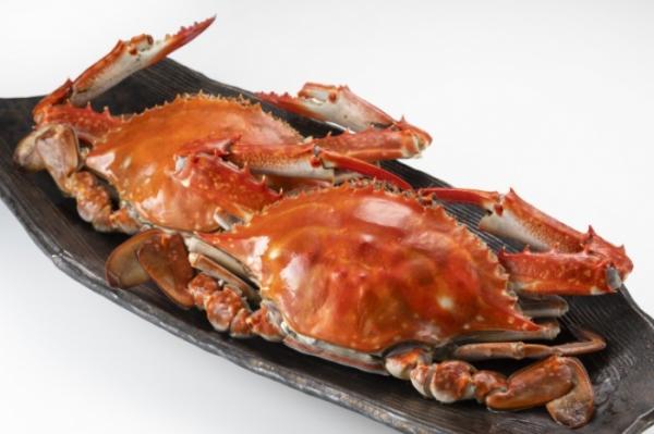 『夏の知多半島の旬の魚貝セット』販売開始