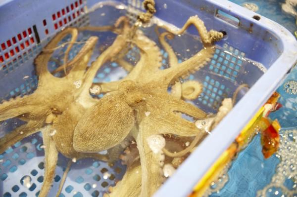 半夏生はタコを食べる日