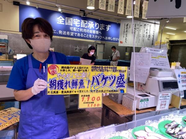 南知多産いわし!水揚げ最盛期!どんどん脂のってきたよ!