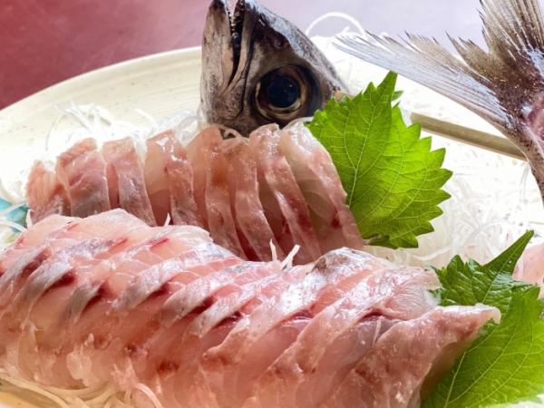 深海漁始まりました!三河湾産クロムツ