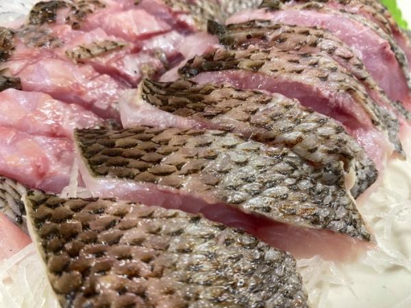 深海漁始まりました!三河湾産クロムツ