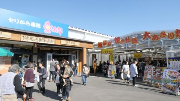 深海漁始まりました!三河湾産クロムツ