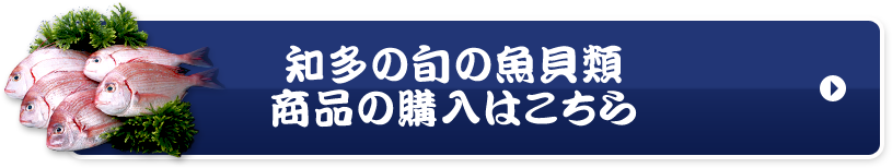 知多の旬の魚貝類商品の購入はこちら